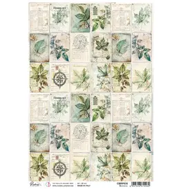 CIAO BELLA CIAO BELLA CABINET OF CURIOSITIES BOTANICAL A4 RICE PAPER