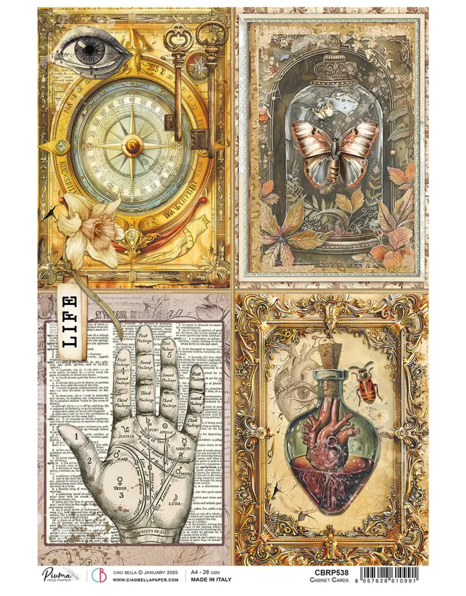 CIAO BELLA CIAO BELLA CABINET OF CURIOSITIES CABINET CARDS A4 RICE PAPER