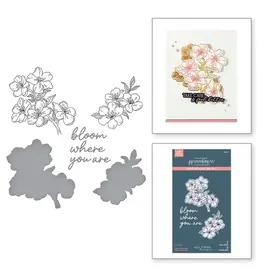 SPELLBINDERS SPELLBINDERS BETTERPRESS ALEX SYBERIA DESIGNS KYOTO COLLECTION CHERRY BLOSSOMS PRESS PLATES & DIE SET