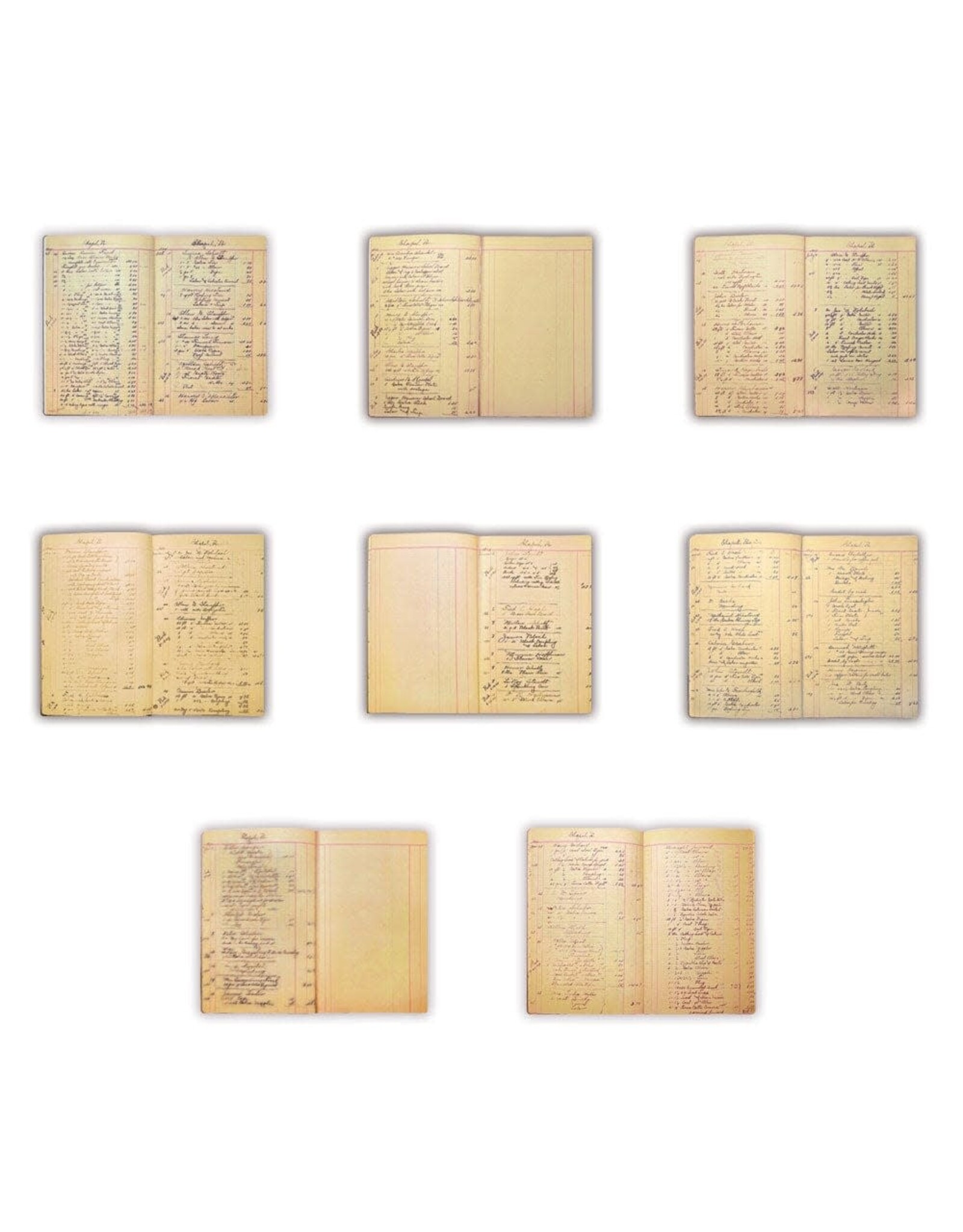 RANGER RANGER DINA WAKLEY MEDIA 12x7.5 LEDGER JOURNAL