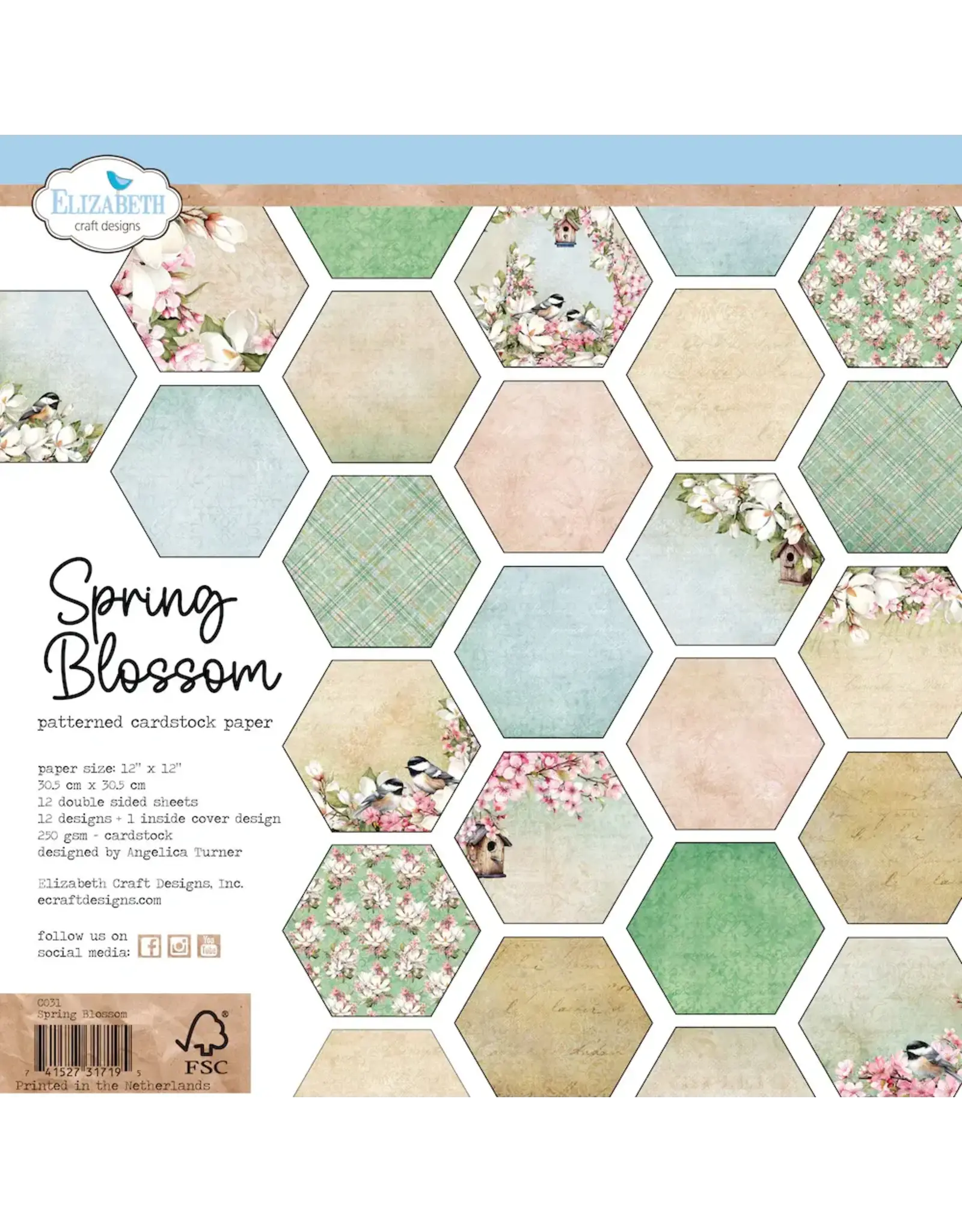 ELIZABETH CRAFT DESIGNS ELIZABETH CRAFT DESIGNS SPRING BLOSSOM 12X12 PAPER PACK