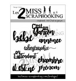 LES 2 MISS SCRAPBOOKING LES 2 MISS SCRAPBOOKING KIT C'EST UN GARÇON CHIPBOARD