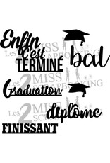 LES 2 MISS SCRAPBOOKING LES 2 MISS SCRAPBOOKING KIT FINISSANT CHIPBOARD