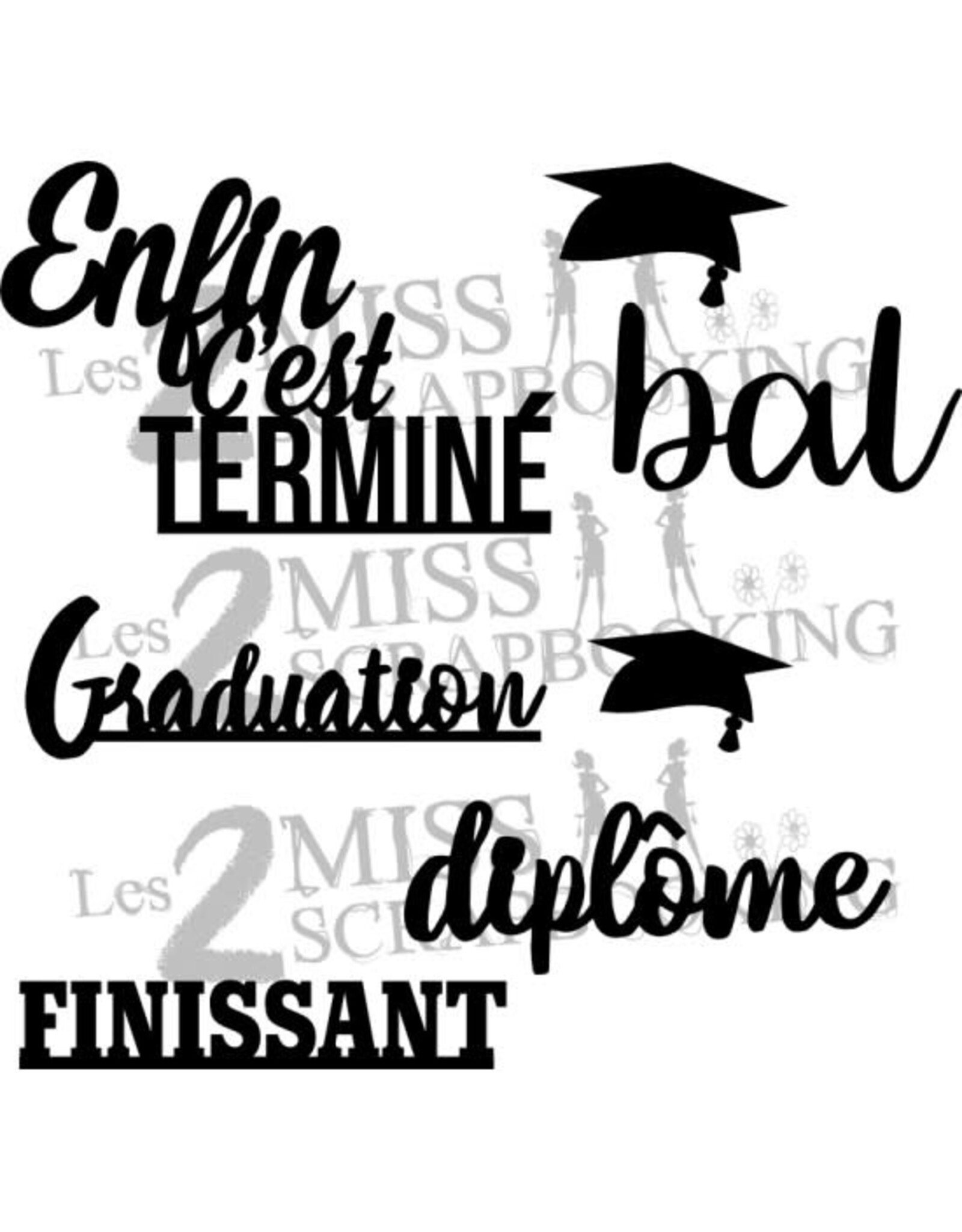LES 2 MISS SCRAPBOOKING LES 2 MISS SCRAPBOOKING KIT FINISSANT CHIPBOARD