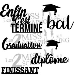 LES 2 MISS SCRAPBOOKING LES 2 MISS SCRAPBOOKING KIT FINISSANT CHIPBOARD