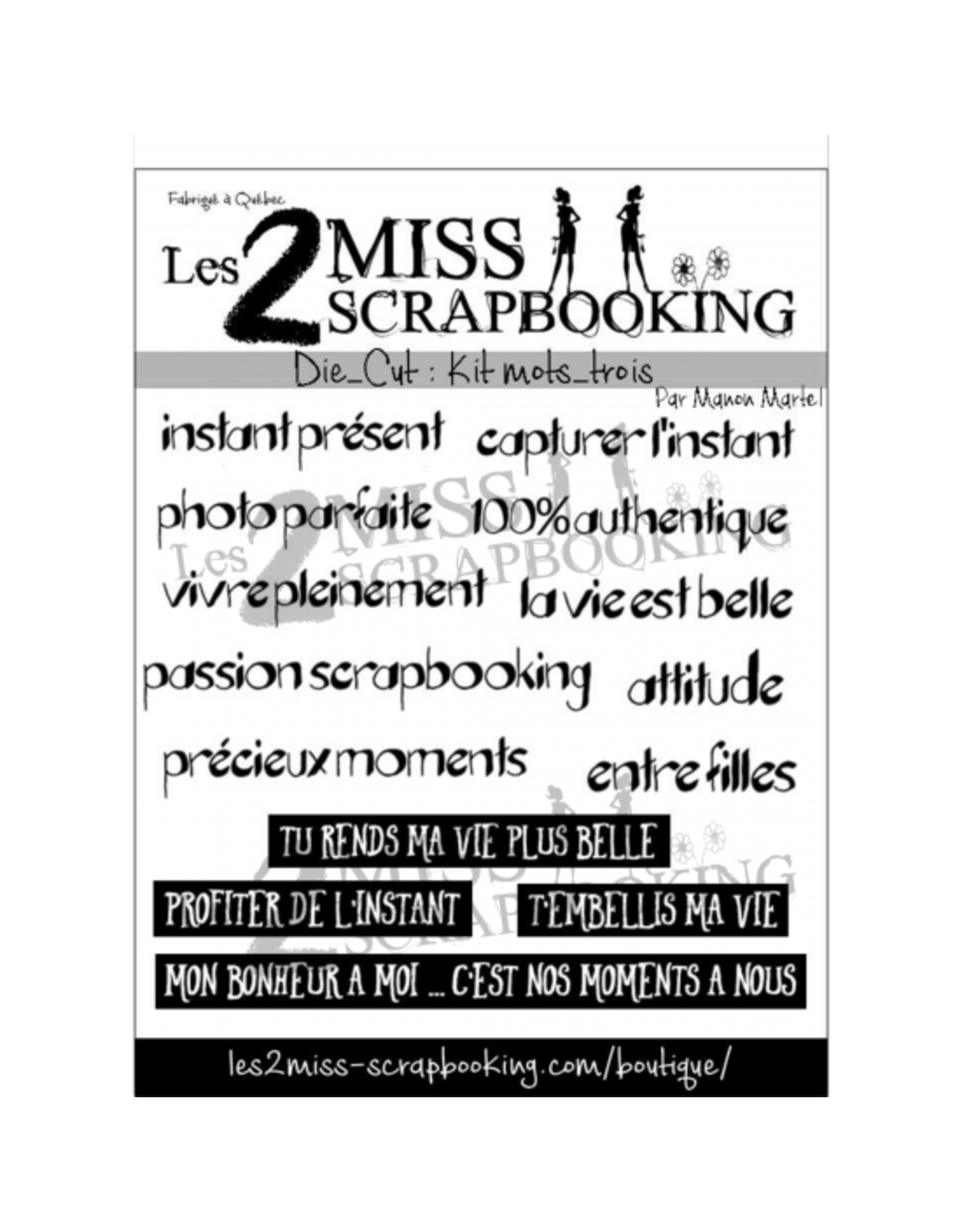LES 2 MISS SCRAPBOOKING LES 2 MISS SCRAPBOOKING KIT MOTS 3 DIE-CUTS