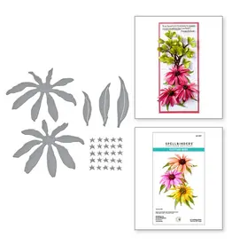 SPELLBINDERS SPELLBINDERS SUSAN TIERNEY-COCKBURN SUMMER SOLSTICE GARDEN COLLECTION ECHINACEA (CONEFLOWER) ETCHED DIE SET