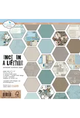 ELIZABETH CRAFT DESIGNS ELIZABETH CRAFT DESIGNS PLANNER ESSENTIALS ONCE IN A LIFETIME 12x12 PAPER PACK