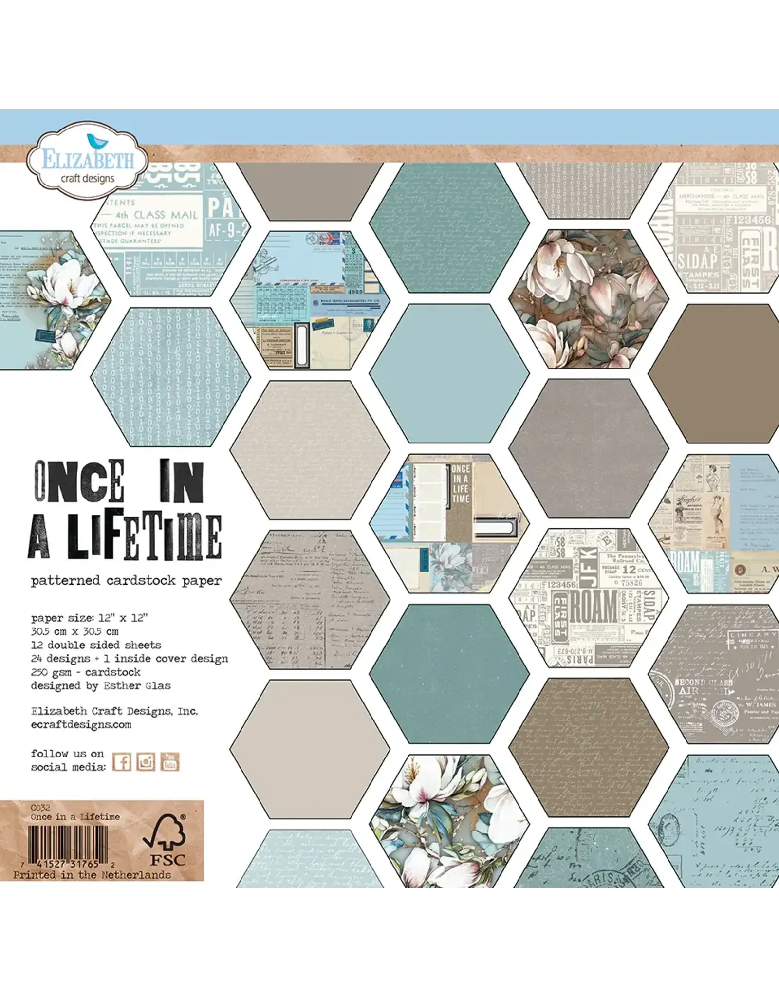 ELIZABETH CRAFT DESIGNS ELIZABETH CRAFT DESIGNS PLANNER ESSENTIALS ONCE IN A LIFETIME 12x12 PAPER PACK