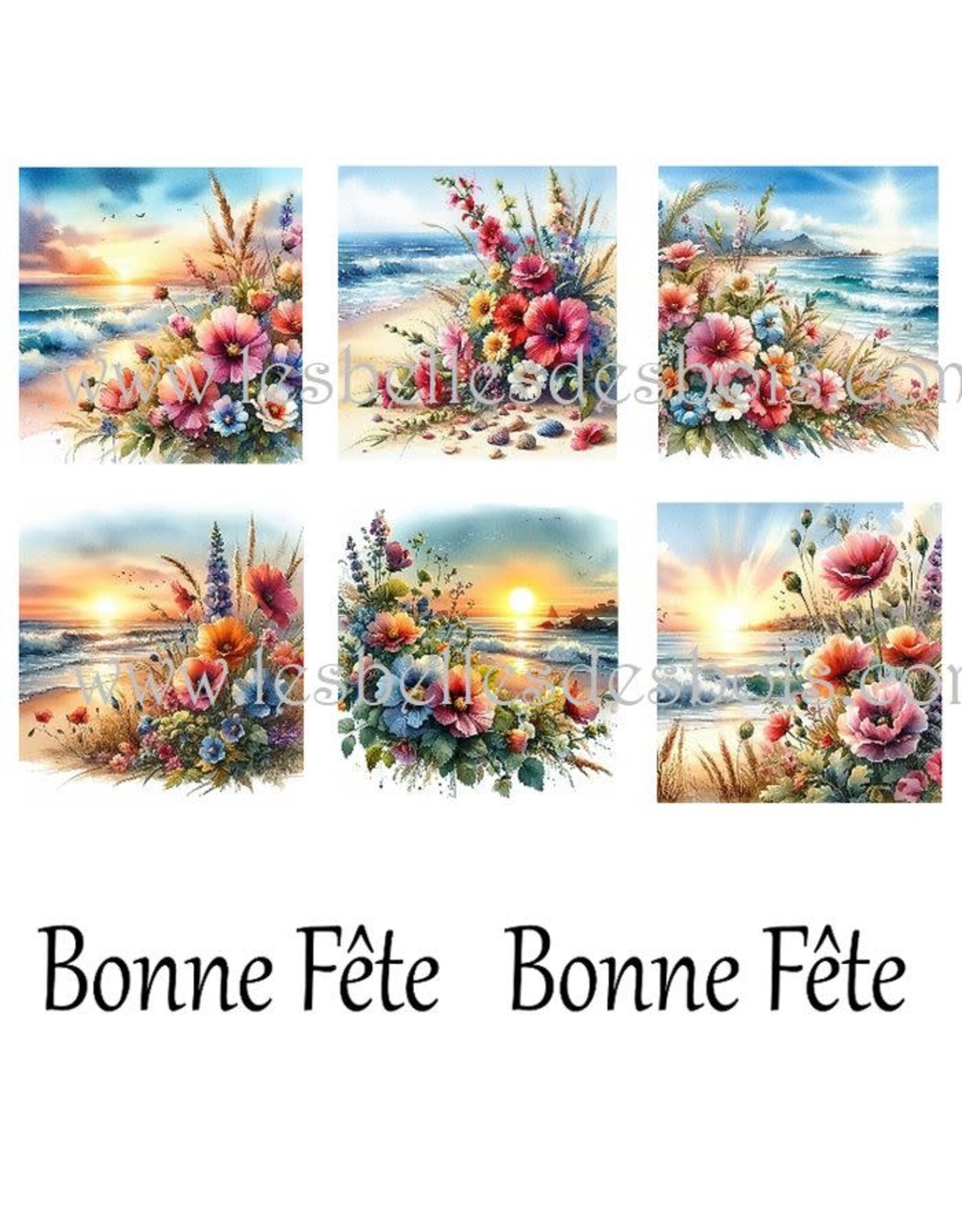LES BELLES DES BOIS LES BELLES DES BOIS 2TOP PLAGE FLEURIE