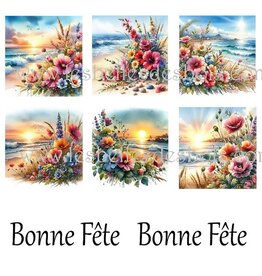 LES BELLES DES BOIS LES BELLES DES BOIS 2TOP PLAGE FLEURIE