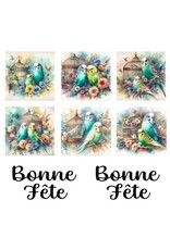LES BELLES DES BOIS LES BELLES DES BOIS 2TOP TWEETY