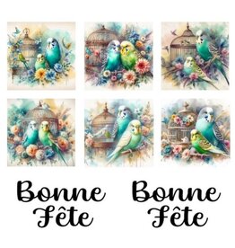 LES BELLES DES BOIS LES BELLES DES BOIS 2TOP TWEETY