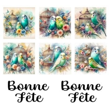 LES BELLES DES BOIS LES BELLES DES BOIS 2TOP TWEETY