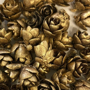 LES BELLES DES BOIS LES BELLES DES BOIS ROSES DES BOIS OR