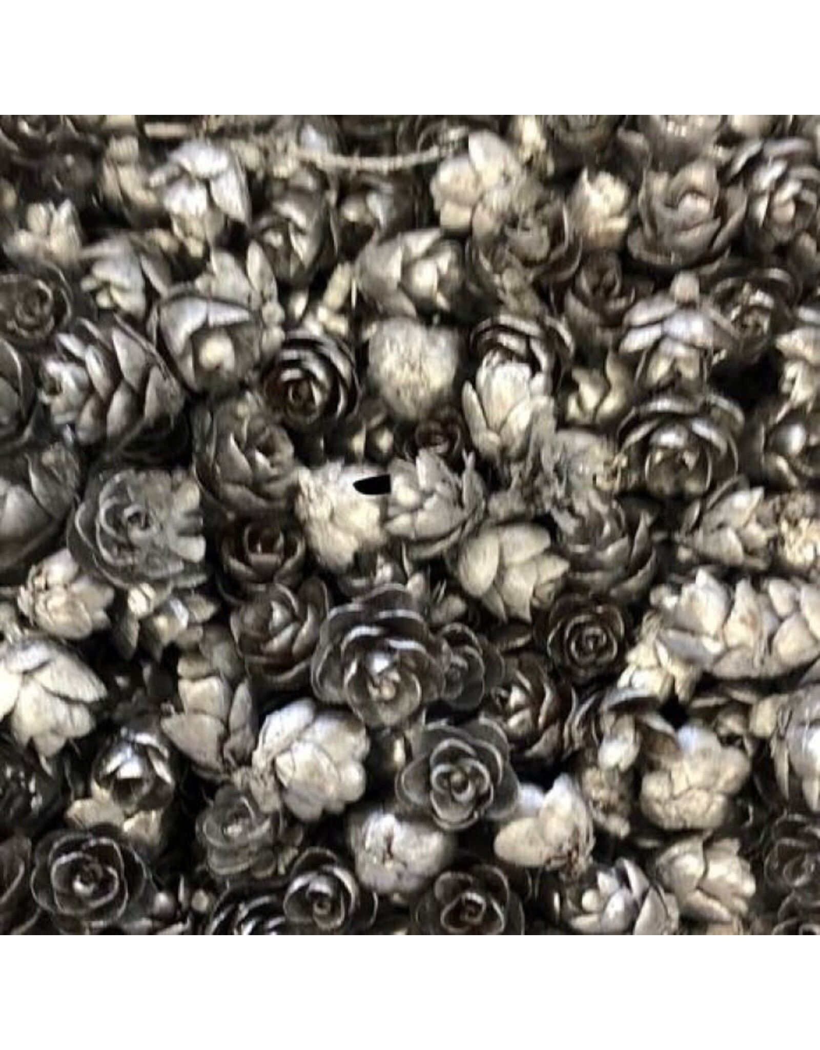 LES BELLES DES BOIS LES BELLES DES BOIS ROSES DES BOIS ARGENT