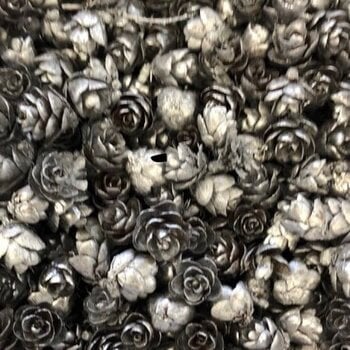 LES BELLES DES BOIS LES BELLES DES BOIS ROSES DES BOIS ARGENT
