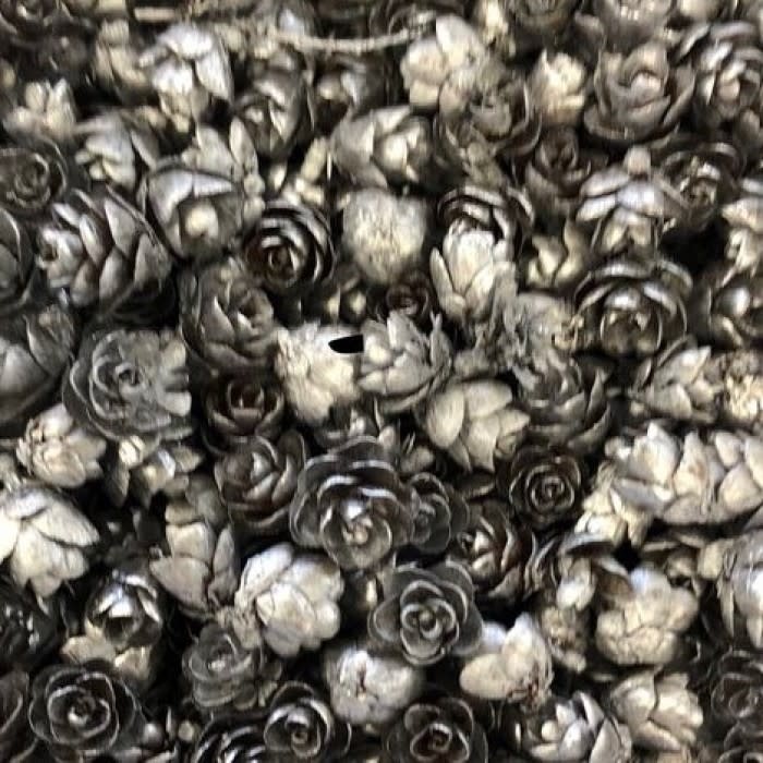 LES BELLES DES BOIS LES BELLES DES BOIS ROSES DES BOIS ARGENT