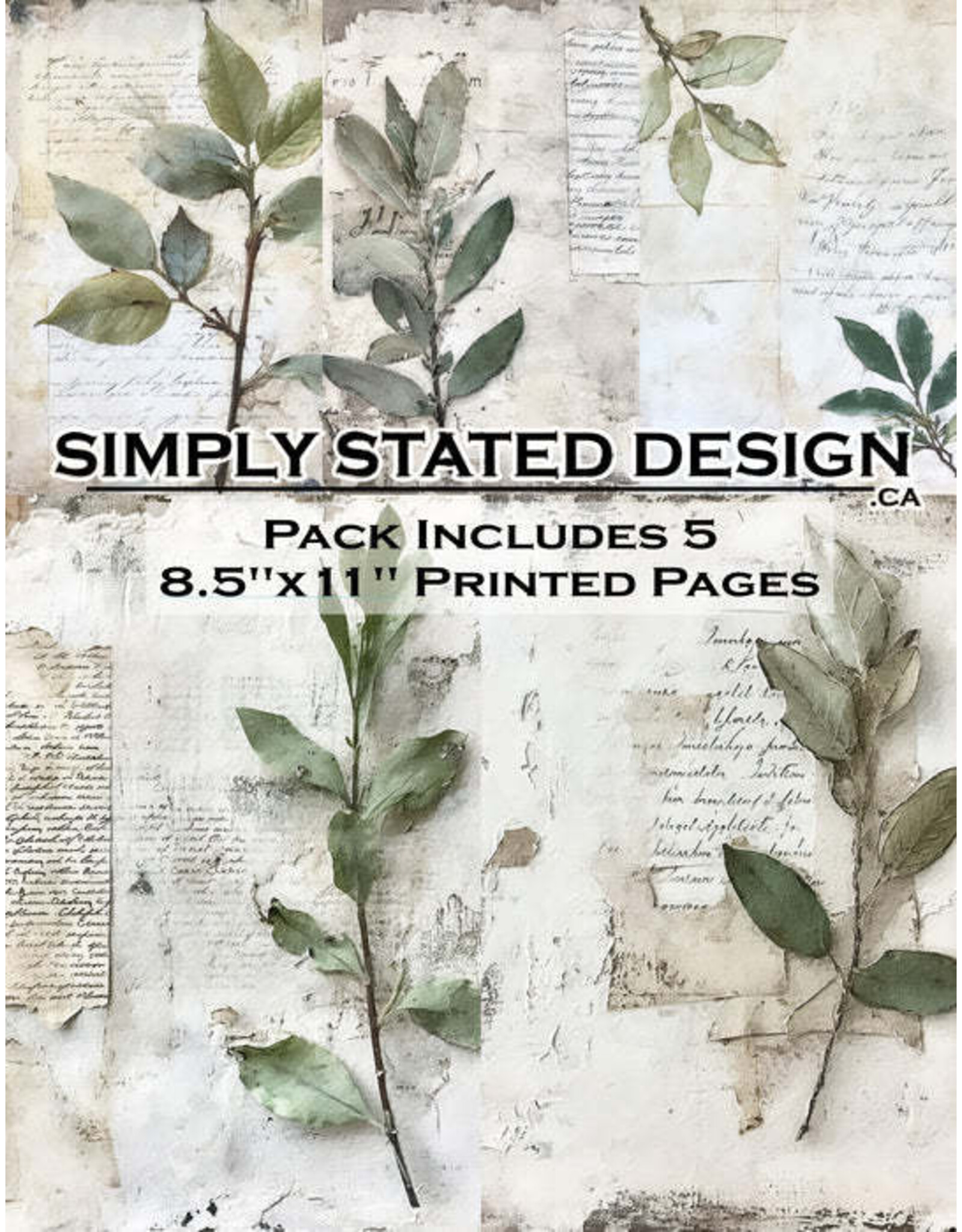 SIMPLY STATED SIMPLY STATED SCRIPTED BOTANICALS 8.5x11 PAPER PACK