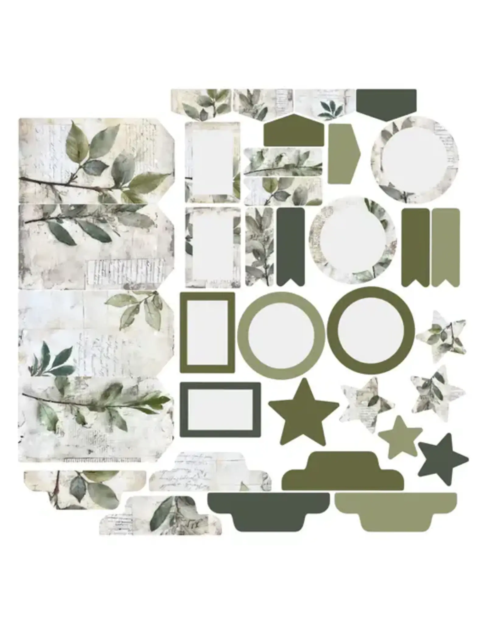SIMPLY STATED SIMPLY STATED SCRIPTED BOTANICAL ESSENTIALS EPHEMERA