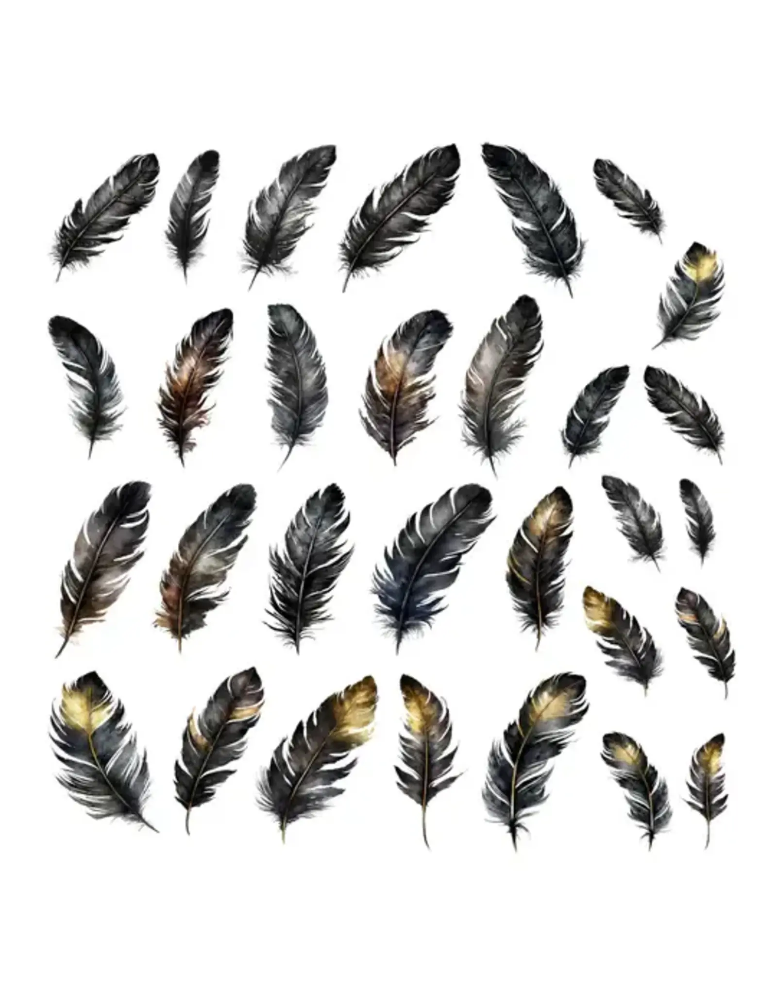 SIMPLY STATED SIMPLY STATED SWEET UNLIKELY OF FRIENDS FEATHERS EPHEMERA