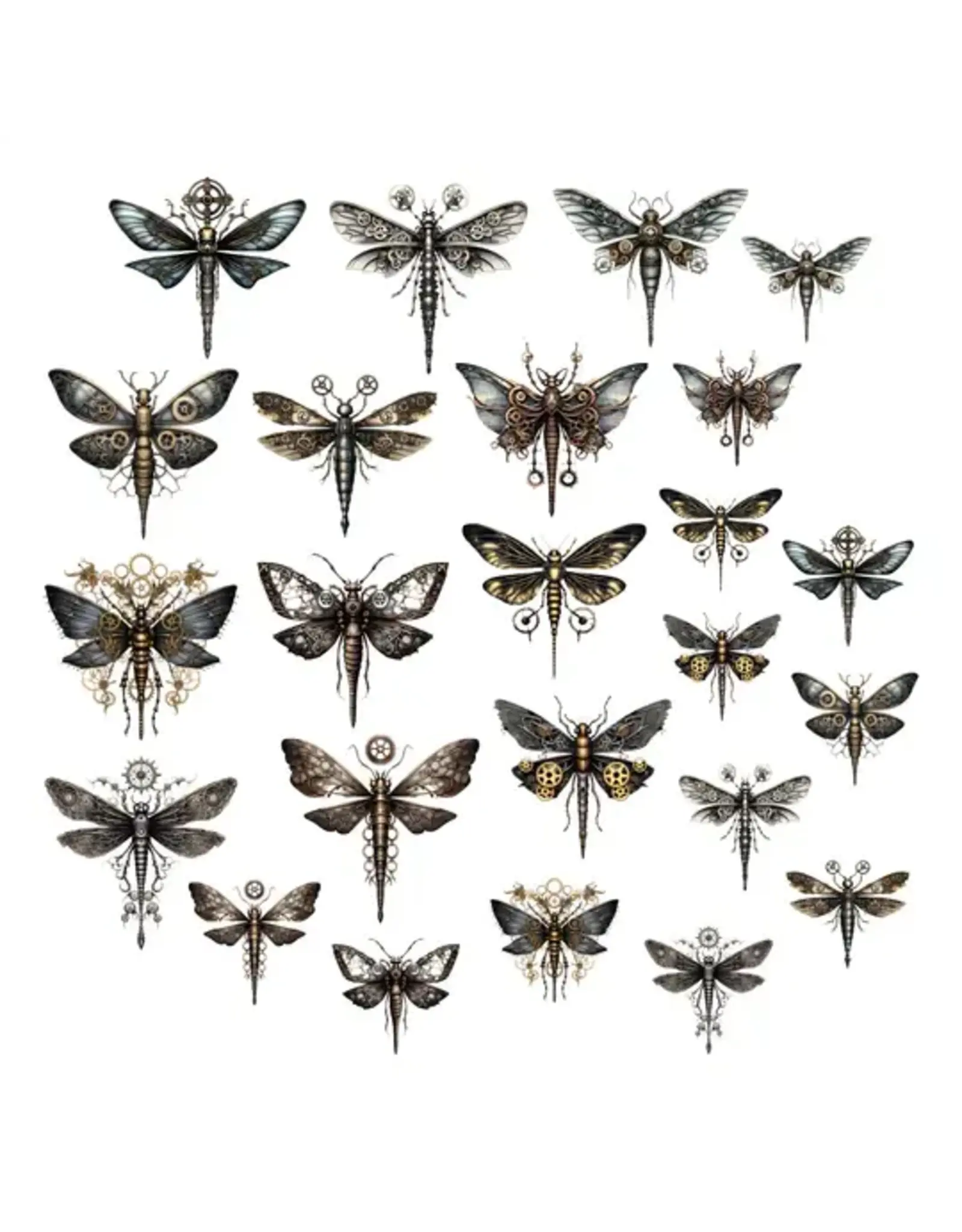 SIMPLY STATED SIMPLY STATED SWEET UNLIKELY OF FRIENDS DRAGONFLIES EPHEMERA