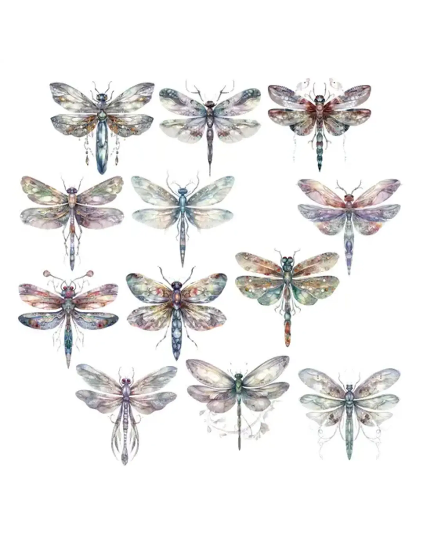 SIMPLY STATED SIMPLY STATED SWEET DRAGONFLIES EPHEMERA