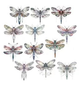SIMPLY STATED SIMPLY STATED SWEET DRAGONFLIES EPHEMERA