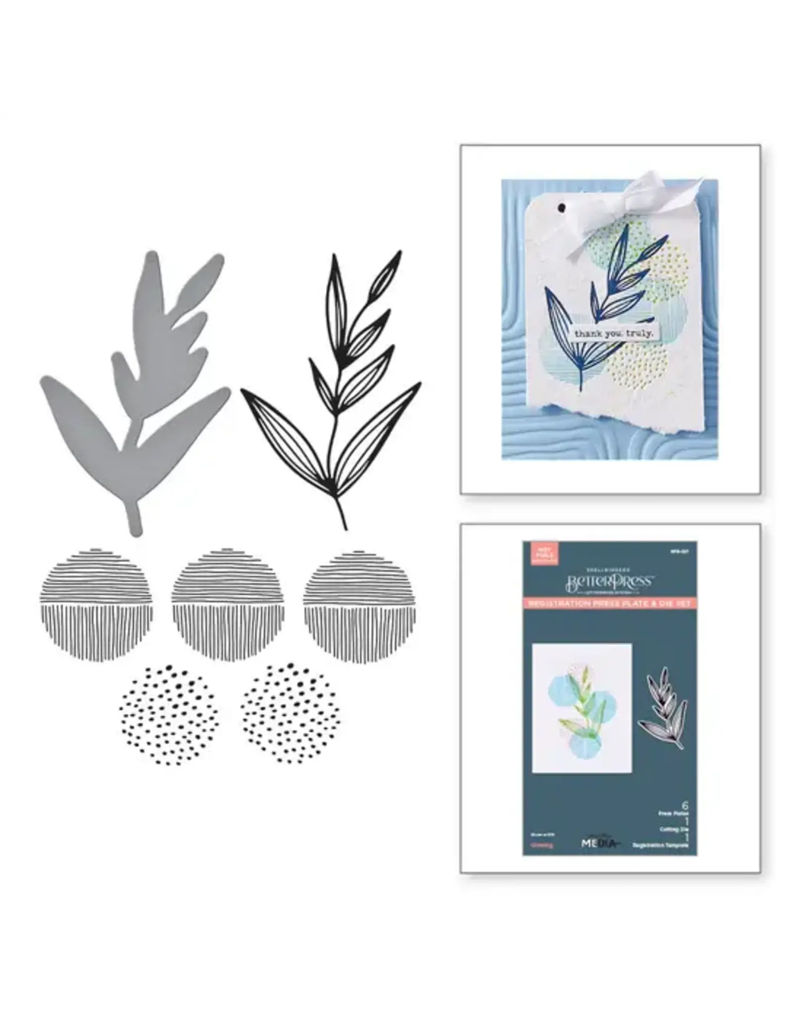 SPELLBINDERS SPELLBINDERS BETTERPRESS DINA WAKLEY MODERN BOTANICALS COLLECTION GROWING PRESS PLATES & DIE SET