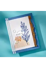 SPELLBINDERS SPELLBINDERS BETTERPRESS DINA WAKLEY MODERN BOTANICALS COLLECTION FLOURISHING PRESS PLATES & DIE SET