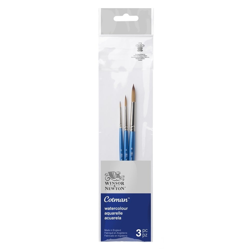WINSOR & NEWTON COTMAN BRUSH PACK 2 3/PK