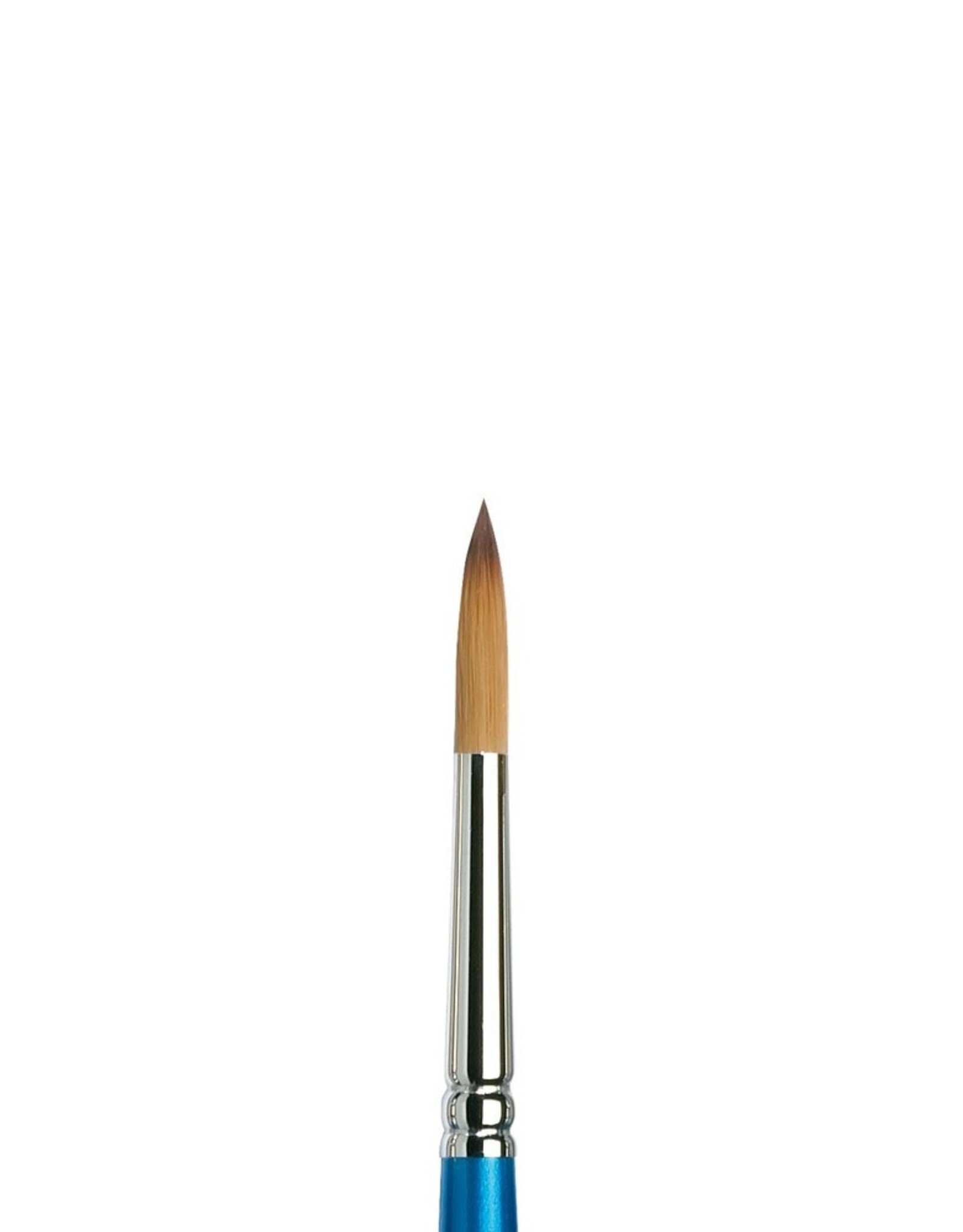 WINSOR & NEWTON COTMAN BRUSH SERIES 111 #8