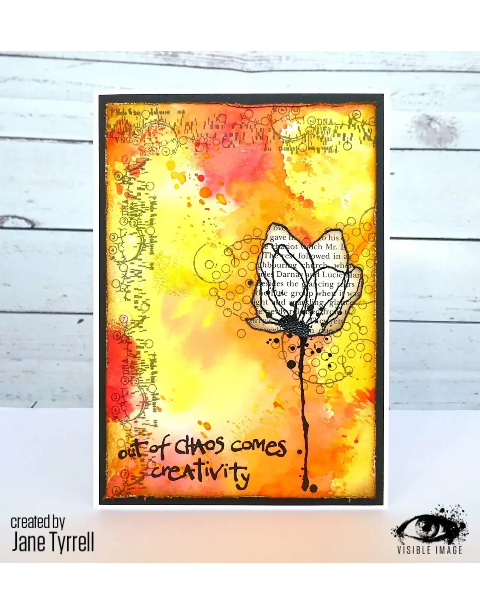 VISIBLE IMAGE VISIBLE IMAGE CREATIVE CHAOS CLEAR STAMP SET
