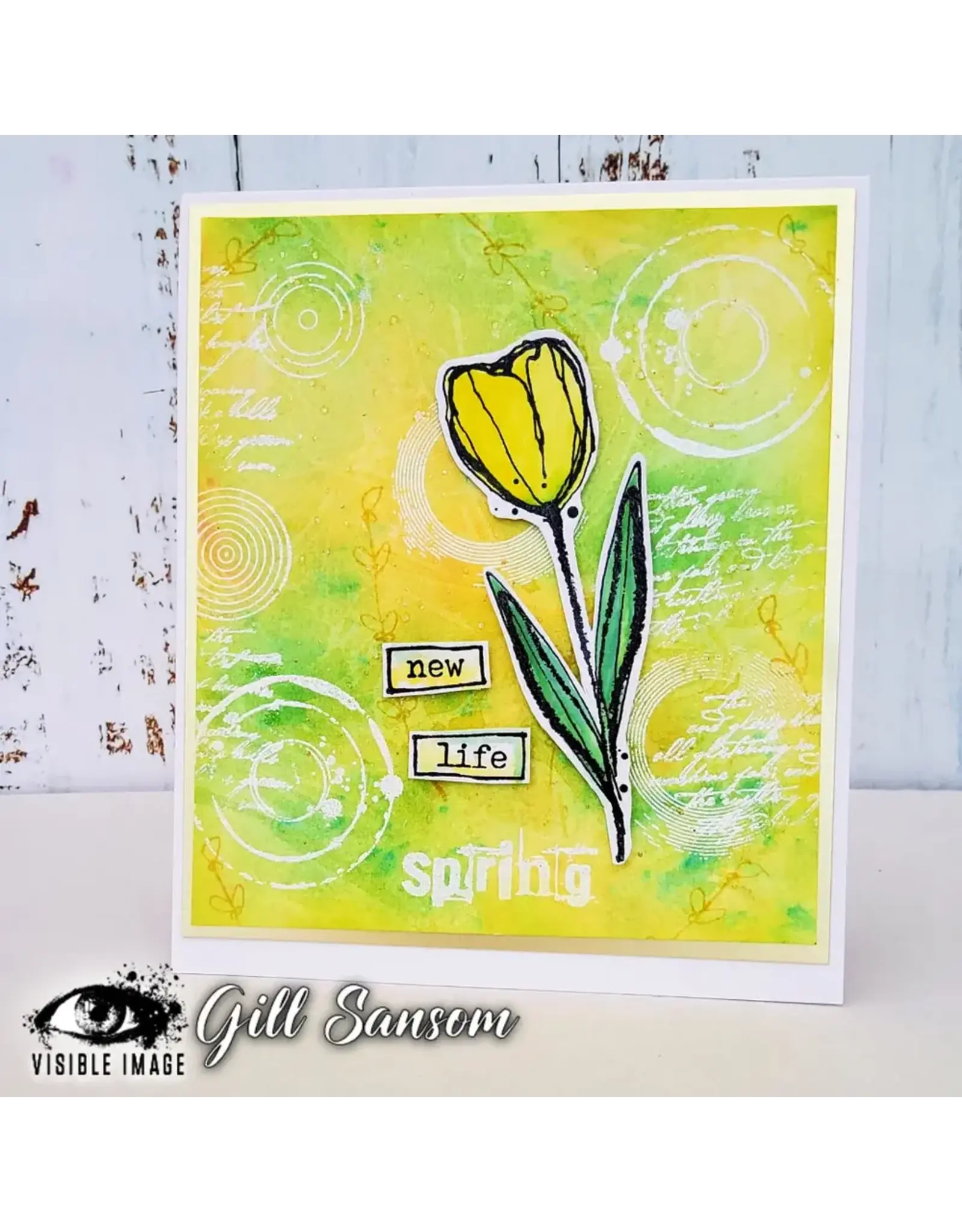 VISIBLE IMAGE VISIBLE IMAGE ROUND IN CIRCLES ACRYLIC STAMP SET