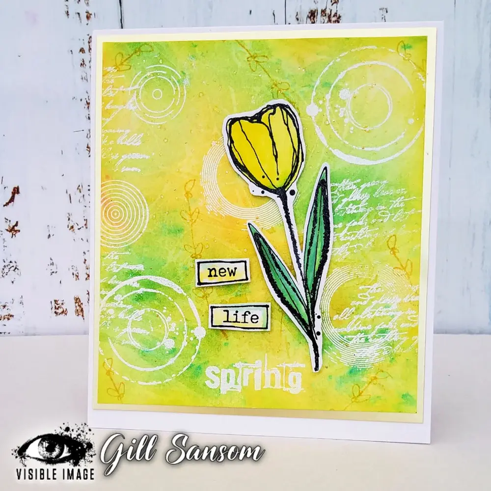 VISIBLE IMAGE ROUND IN CIRCLES ACRYLIC STAMP SET