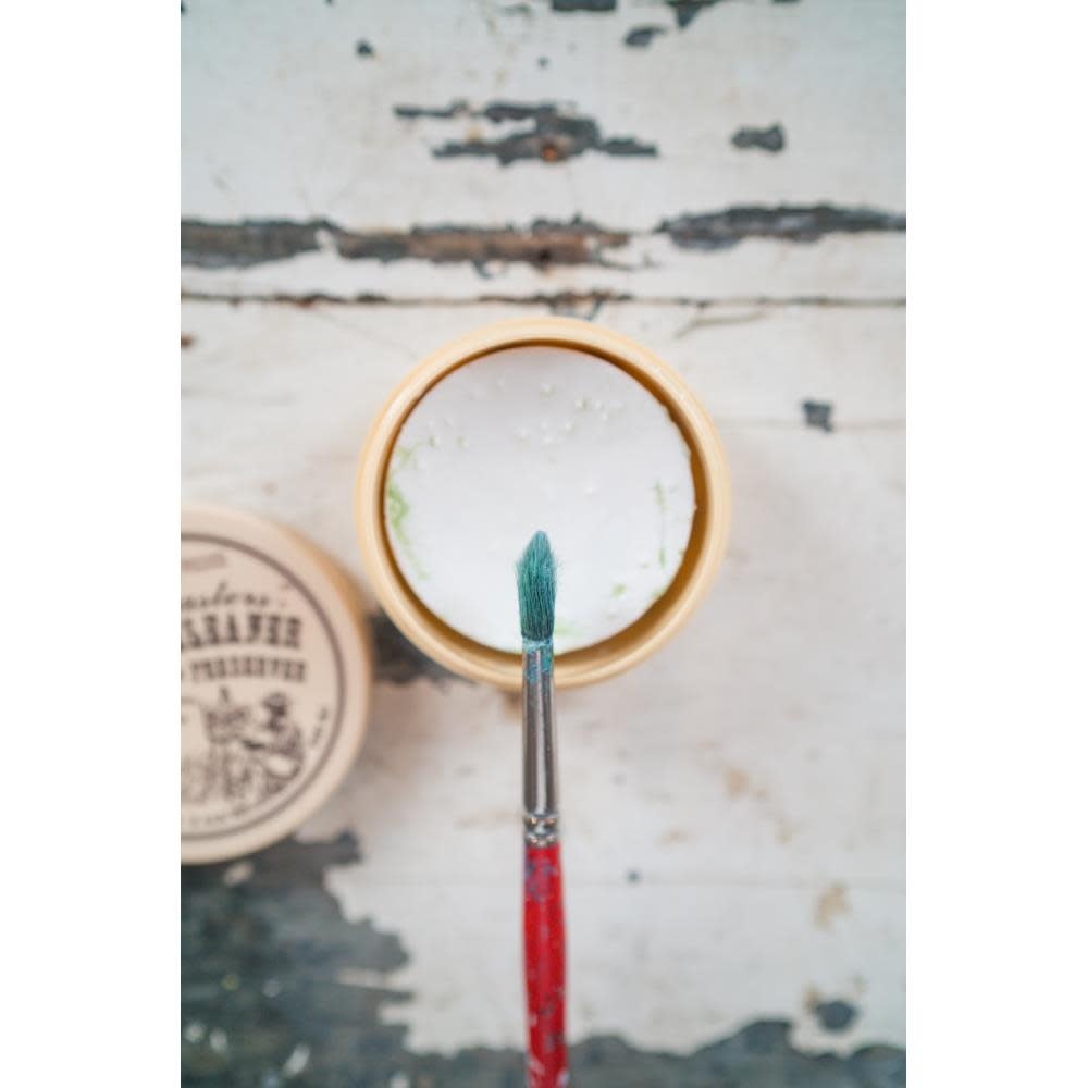 THE MASTERS BRUSH CLEANER AND PRESERVER