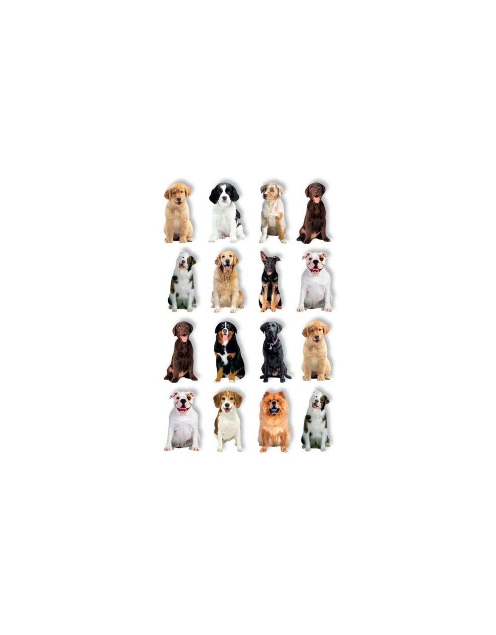 PAPER HOUSE PRODUCTIONS PAPER HOUSE DOGS POP UP STICKERS
