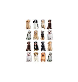 PAPER HOUSE PRODUCTIONS PAPER HOUSE DOGS POP UP STICKERS