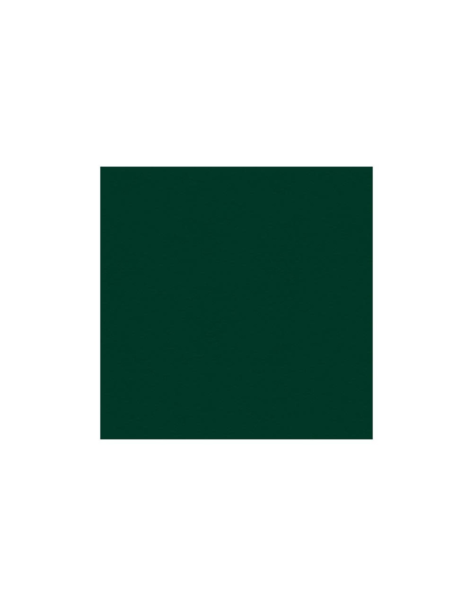 MY COLORS MY COLORS CLASSIC 80 LB COVER WEIGHT FOREST GREEN 12x12 CARDSTOCK