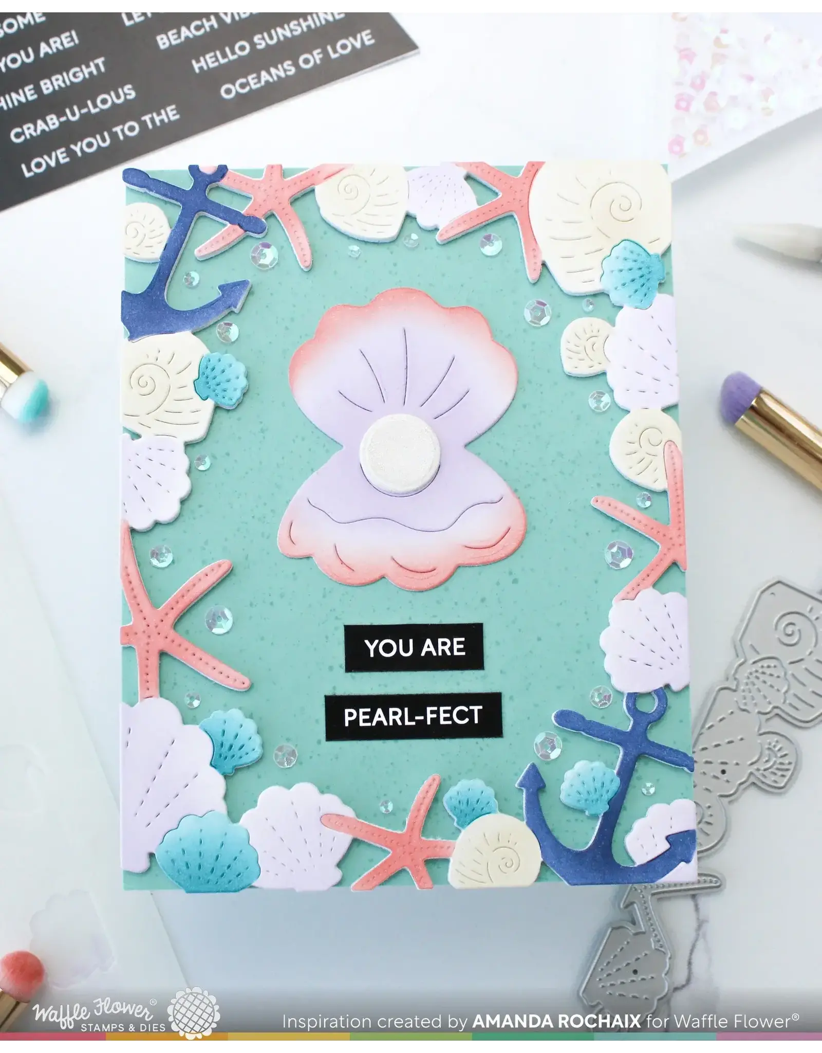 WAFFLE FLOWER WAFFLE FLOWER SEASHELL FRAME COLORING STENCIL SET