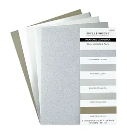SPELLBINDERS SPELLBINDERS SILVER ASSORTMENT TREASURED CARDSTOCK 8.5x11 15/PK