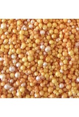ARTQUEST ARTQUEST GO MANGO MINI PRILLS 3OZ