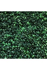ARTQUEST ARTQUEST SPRUCE WILLIS MINI PRILLS 3OZ