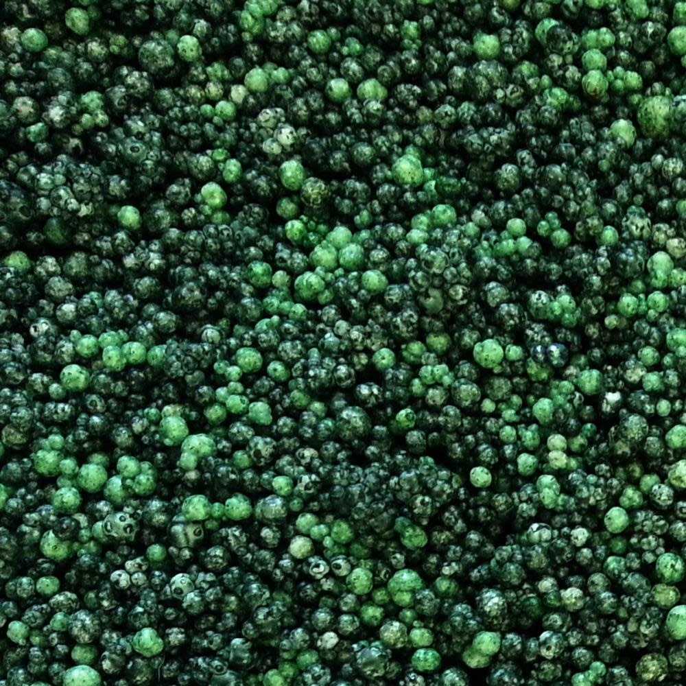 ARTQUEST SPRUCE WILLIS MINI PRILLS 3OZ