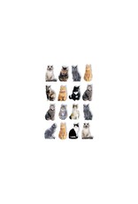 PAPER HOUSE PRODUCTIONS PAPER HOUSE CATS POP UP STICKERS