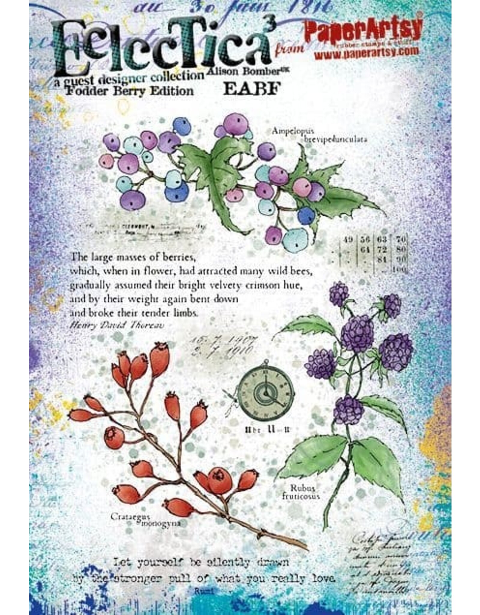 PAPER ARTSY PAPER ARTSY ECLECTICA ALISON BOMBER FODDER SCHOOL EABF CLING STAMP SET