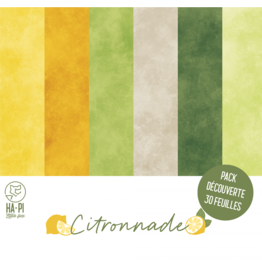 HA-PI LITTLE FOX HA-PI LITTLE FOX COLLECTION CITRONNADE 12x12 DISCOVERY PACK 2