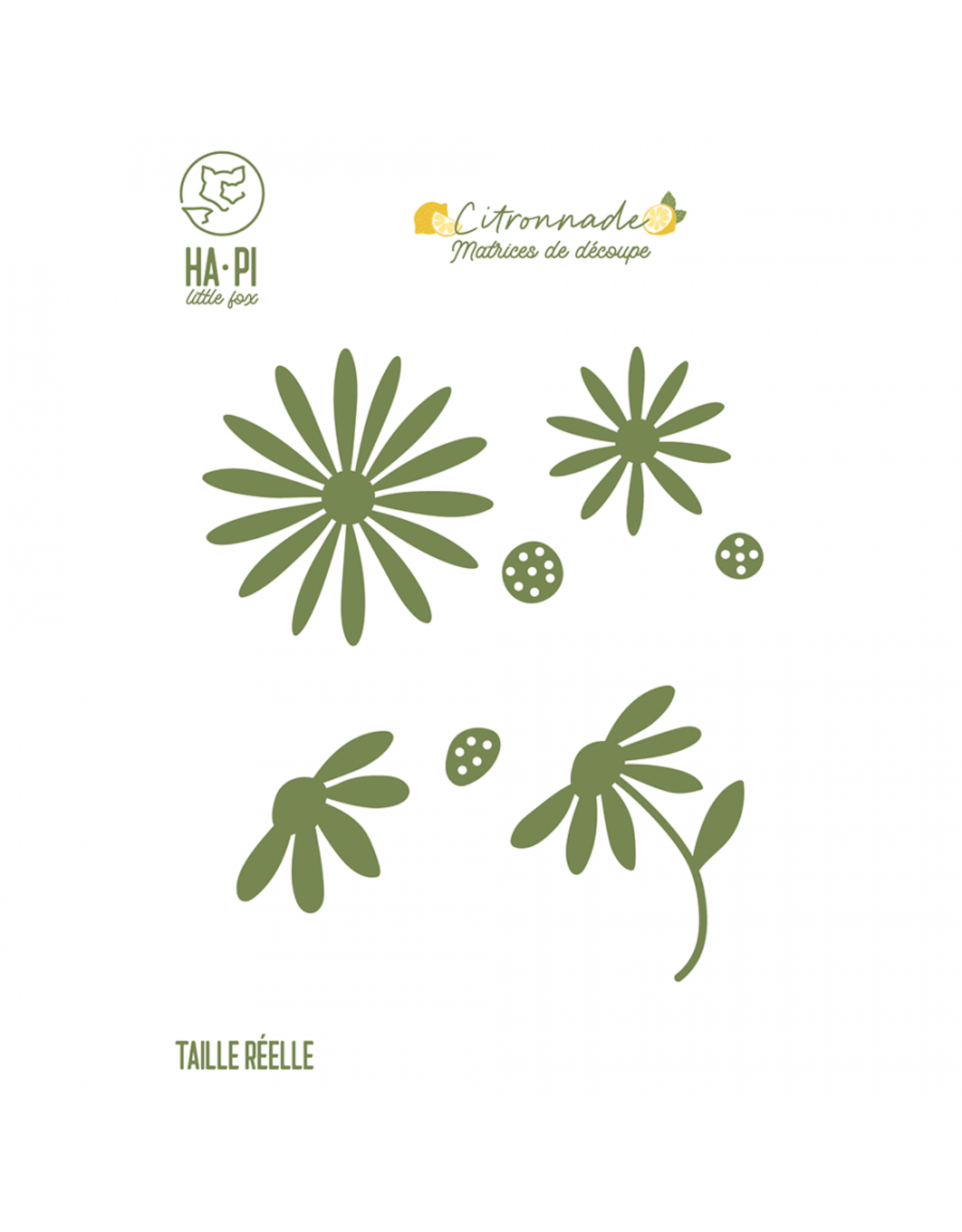HA-PI LITTLE FOX HA-PI LITTLE FOX COLLECTION CITRONNADE MARGUERITES DIE SET
