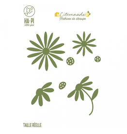 HA-PI LITTLE FOX HA-PI LITTLE FOX COLLECTION CITRONNADE MARGUERITES DIE SET
