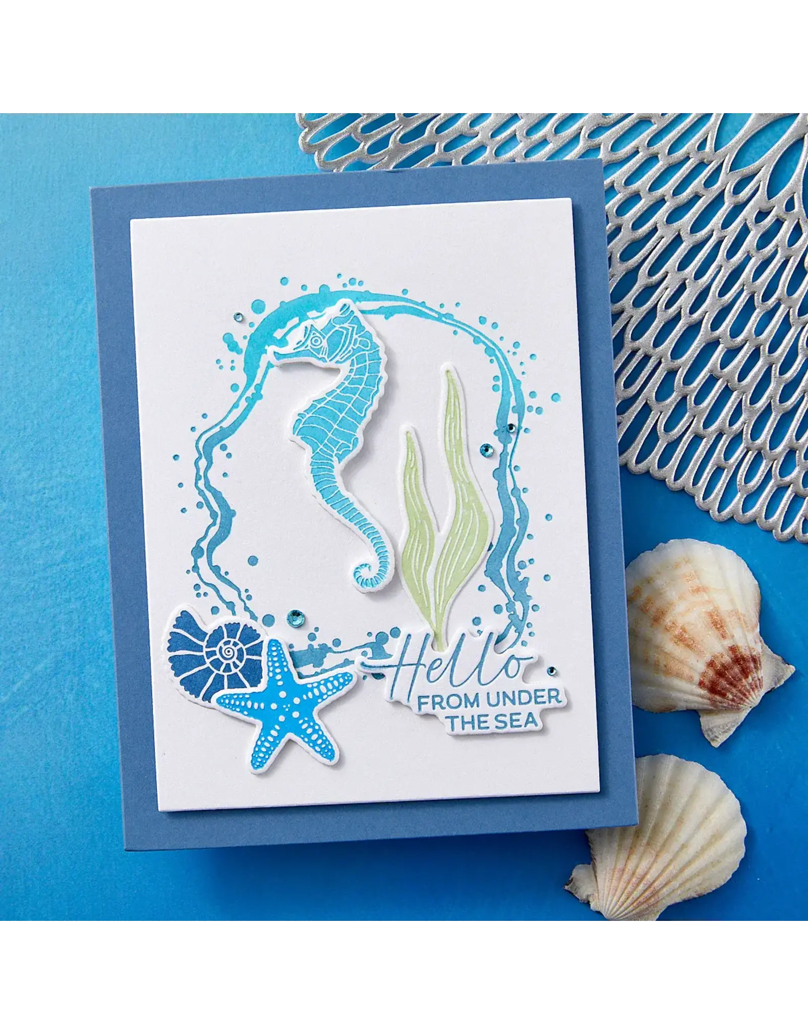 SPELLBINDERS SPELLBINDERS BETTERPRESS SOCIETY JUNE 2025 ADD-ON SEA BUBBLE BORDER PRESS PLATE & DIE SET